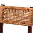 Pemberly Row Bohemian Honey Rattan and Brown Wood Dining Chair