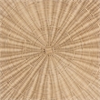Pemberly Row Silvia Natural Rattan Coffee Table with Pedestal Base Bohemian