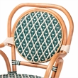 Pemberly Row Mattie Handwoven Rattan Bistro Chair in Green
