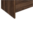 Pemberly Row Walnut Wood 2-Drawer End Table Set