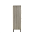Pemberly Row Wood Modern Door Chest with LED Light and Shoe Rack in Gray