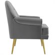 Pemberly Row Tufted Velvet Armchair with Gold Legs in Gray