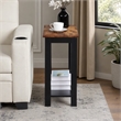 Pemberly Row Baja Chairside End Table with Shelf in Black