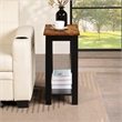 Pemberly Row Baja Chairside End Table with Shelf in Black