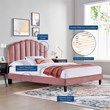 Pemberly Row Performance Velvet Upholstered Queen Platform Bed in Dusty Rose