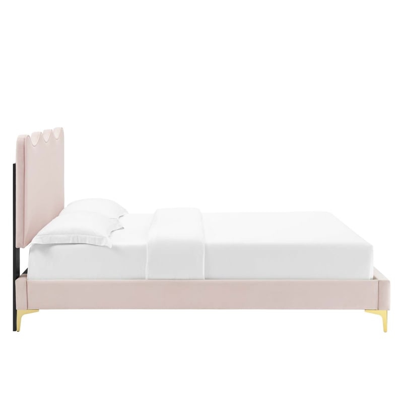 Pemberly Row Velvet Full Platform Bed with Gold Legs in Pink