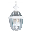 Beaumont Lane 2 Light Outdoor Chain Hang in White