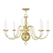 Polished Brass