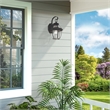 Beaumont Lane Outdoor Wall Lantern in Black