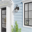 Beaumont Lane Outdoor Wall Lantern in Black