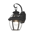 Beaumont Lane Outdoor Wall Lantern in Black