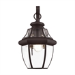 Beaumont Lane Outdoor Wall Lantern in Bronze
