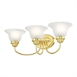 Beaumont Lane 3 Light Bath Light in Polished Brass