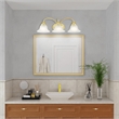 Beaumont Lane 3 Light Bath Light in Polished Brass