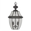 Beaumont Lane 2 Light Outdoor Chain Hang in Black