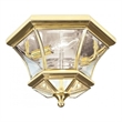Beaumont Lane 2 Light Ceiling Mount in Polished Brass