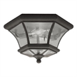 Beaumont Lane 2 Light Ceiling Mount in Bronze