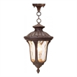 Beaumont Lane Outdoor Chain Hang in Imperial Bronze