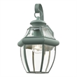 Beaumont Lane Outdoor Wall Lantern in Verdigris