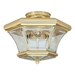 Polished Brass