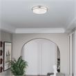 Beaumont Lane 3 Light Ceiling Mount in Brushed Nickel