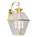 Polished Brass