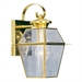 Polished Brass