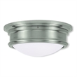 Beaumont Lane 2 Light Ceiling Mount in Brushed Nickel