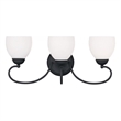 Beaumont Lane 3 Light Bath Light in Black