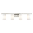 Beaumont Lane 4 Light Bath Light in Brushed Nickel