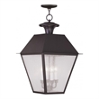 Beaumont Lane 4 Light Outdoor Chain Hang in Bronze