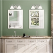 Beaumont Lane 2 Light Bath Light in Brushed Nickel