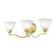 Beaumont Lane 3 Light Bath Light in Polished Brass