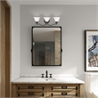 Beaumont Lane 3 Light Bath Light in Bronze
