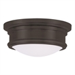 Beaumont Lane 2 Light Ceiling Mount in Bronze
