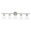 Beaumont Lane 5 Light Bath Light in Brushed Nickel