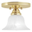 Beaumont Lane Ceiling Mount in Polished Brass