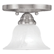 Beaumont Lane Ceiling Mount in Brushed Nickel