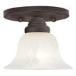 Beaumont Lane Ceiling Mount in Bronze