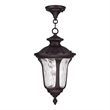 Beaumont Lane Outdoor Chain Hang in Bronze