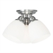 Brushed Nickel