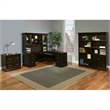 Beaumont Lane Transitional Wood Executive Bookcase With Doors in Brown