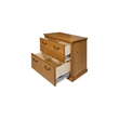 Beaumont Lane Lateral 2 Drawer Wood File Storage Cabinet in Wheat