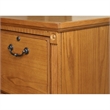 Beaumont Lane 4 Drawer Vertical File Cabinet in Distressed Wheat