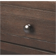 Beaumont Lane Metropolitan Living Console Cabinet in Brown