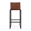 Beaumont Lane Rustic Industrial 30'' Transitional Metal Bar Stool in Brown