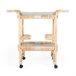 Beaumont Lane PU Rattan Multi-Color Bar Cart Rectangular 34.5