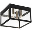 Beaumont Lane Contemporary 4 Light Outdoor Ceiling Mount in Black