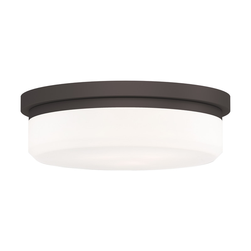 Beaumont Lane Contemporary Steel Ceiling Mount or Wall Mount