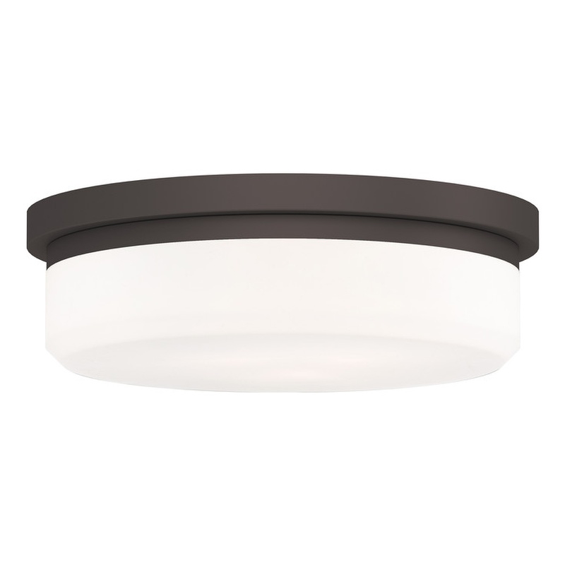 Beaumont Lane Contemporary Steel Ceiling Mount or Wall Mount